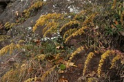IMG_7345.JPG