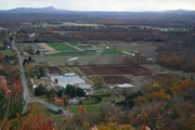 IMG_7350.JPG