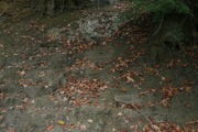 IMG_7353.JPG