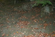 IMG_7354.JPG
