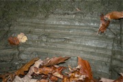 IMG_7356.JPG
