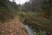 IMG_7359.JPG