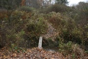 IMG_7360.JPG