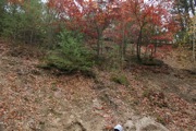 IMG_7363.JPG