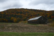 IMG_7364.JPG