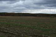 IMG_7365.JPG
