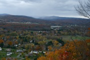 IMG_7339.JPG