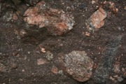 IMG_7273.JPG