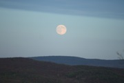 IMG_7655.JPG