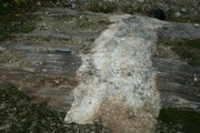 IMG_7057.JPG