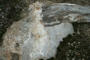 IMG_7058.JPG