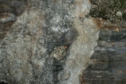 IMG_7059.JPG