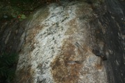 IMG_7063.JPG