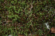 IMG_7064.JPG