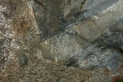 IMG_7065.JPG