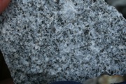 IMG_7067.JPG