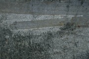 IMG_7048.JPG