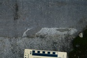 IMG_7049.JPG
