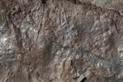 IMG_6977.JPG
