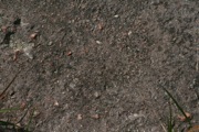 IMG_6978.JPG