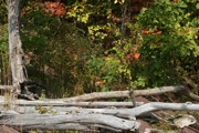 IMG_6980.JPG