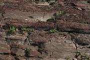 IMG_6962.JPG