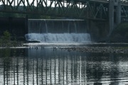 IMG_6991.JPG