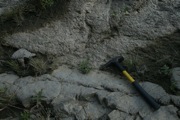 IMG_6999.JPG