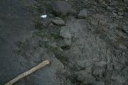 IMG_7000.JPG