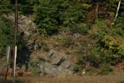 IMG_7029.JPG