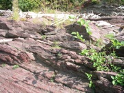 P1010003.JPG