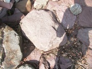 P1010004.JPG