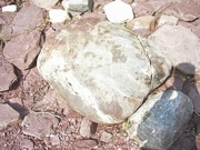 P1010005.JPG
