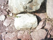 P1010006.JPG