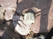 P1010007.JPG