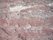 P1010009.JPG