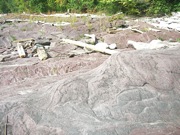 P1010011.JPG