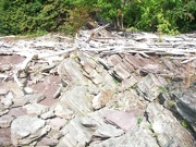 P1010016.JPG