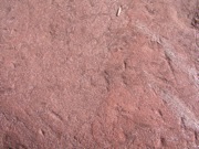 P1010028.JPG
