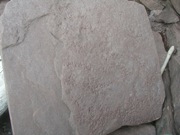 P1010035.JPG