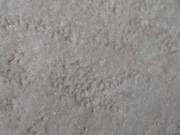 P1010036.JPG