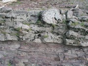 P1010037.JPG