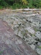 P1010038.JPG