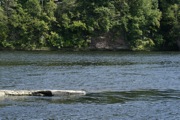 _MG_2820.JPG