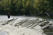 _MG_2823.JPG