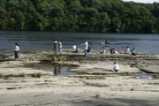 _MG_2803.JPG