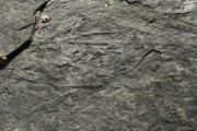 _MG_2834.JPG