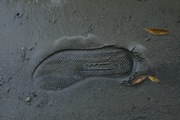 _MG_2838.JPG