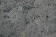 _MG_2874.JPG