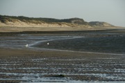 _MG_4120.JPG